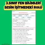 3.SINIF FEN BİLİMLERİ SESİN İŞİTMEDEKİ ROLÜ ETKİNLİK