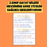 3.SINIF HAYAT BİLGİSİ MEVSİMİNE GÖRE TÜKETELİM VE SAĞLIKLI BESLENİYORUM DEFTER NOTU
