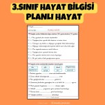 3.SINIF HAYAT BİLGİSİ PLANLI HAYAT ETKİNLİKLERİ