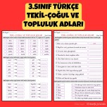 3.SINIF TÜRKÇE TEKİL-ÇOĞUL VE  TOPLULUK ADLARI ETKİNLİK