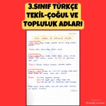 3.SINIF TÜRKÇE TEKİL-ÇOĞUL VE TOPLULUK ADLARI