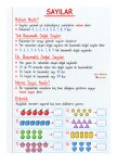 2. Sınıf Sayılar Konusu Defter Notu ve Etkinlikleri  | Matematik