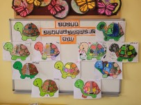 Scamper çalışmamız BENCE KAPLUMBAGANIN EVI