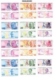 KAĞIT VE MADENİ PARALARIMIZ (5 Lira Dahil)