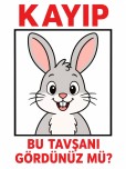 Kayıp Tavşan_Uyum Haftası Etkinliği