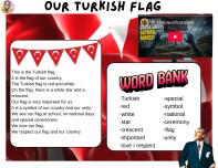 Bayrak Teması Ders Planı İngilizce