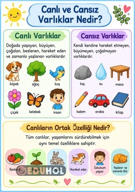 Canlı ve cansız varlıklar defter görseli