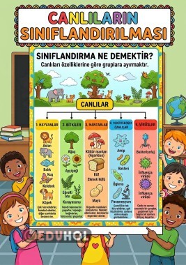 Canlıların sınıflandırılması poster