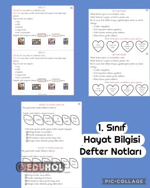 Hayat Bilgisi Defter Notu