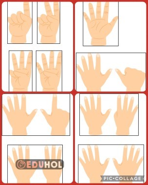 Rakamlar Parmaklarda  Duvar İçin