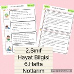 2.Sınıf Hayat Bilgisi 6.Hafta