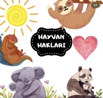 Hayvan Hakları
