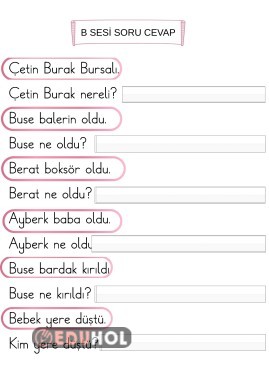 B SESİ OKU ANLA CEVAPLA