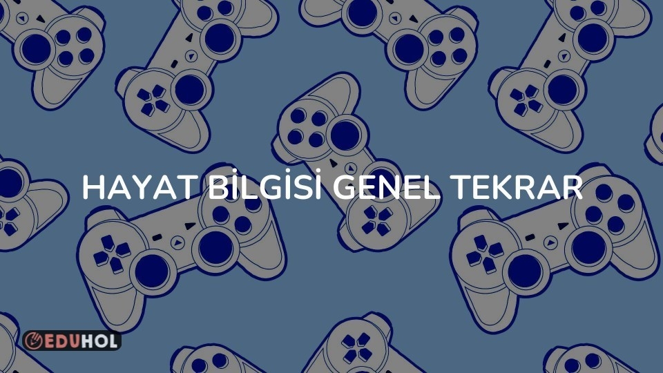 HAYAT BİLGİSİ GENEL TEKRAR