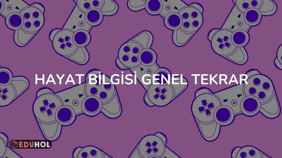 HAYAT BİLGİSİ GENEL TEKRAR
