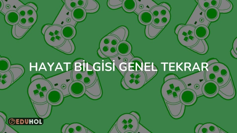 HAYAT BİLGİSİ GENEL TEKRAR