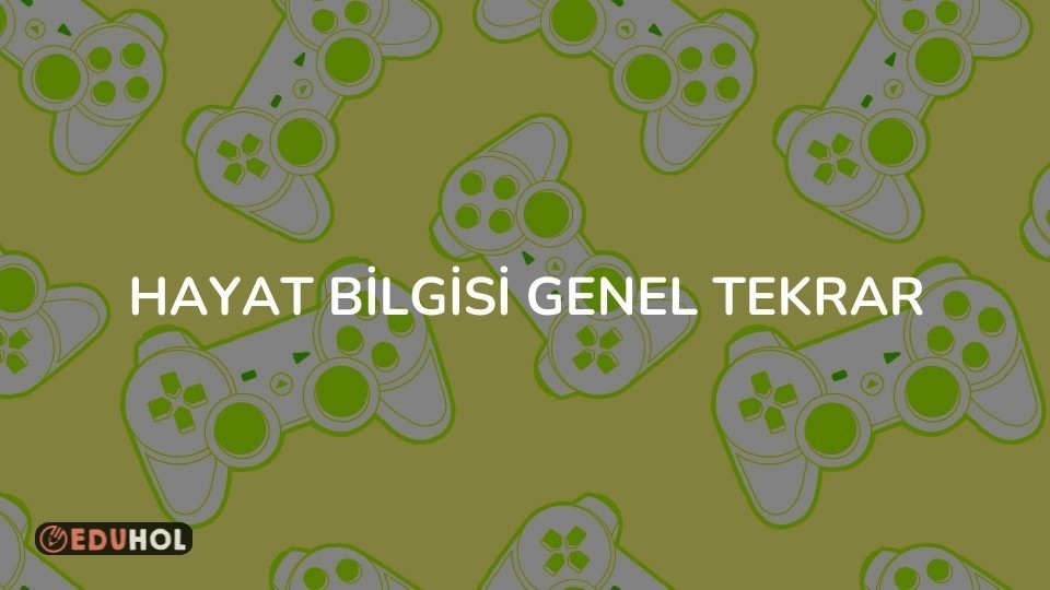 HAYAT BİLGİSİ GENEL TEKRAR