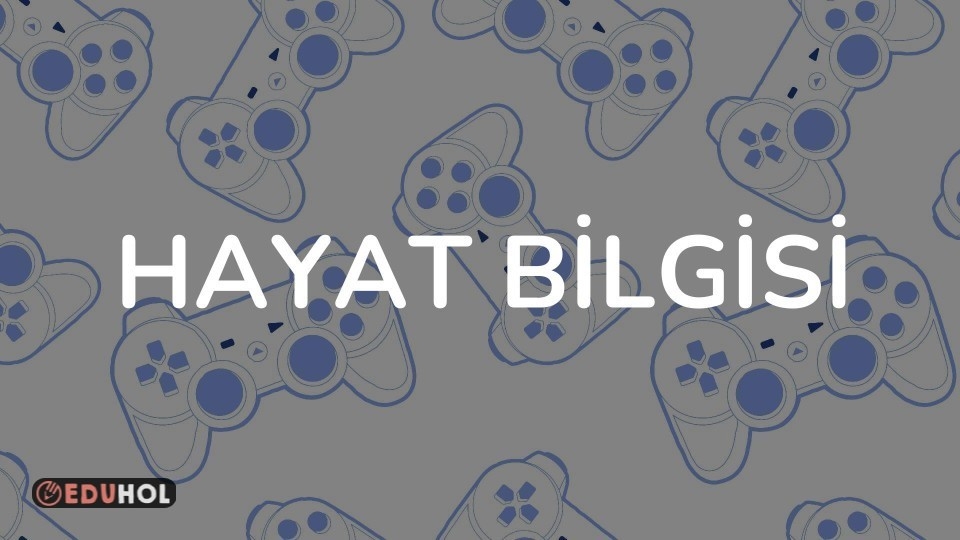HAYAT BİLGİSİ