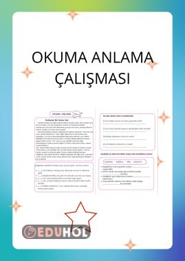 OKUMA ANLAMA ÇALIŞMASI
