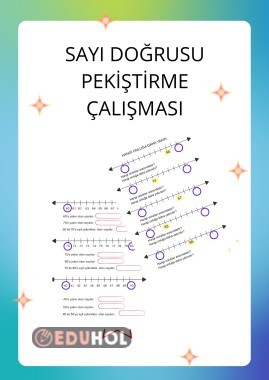 SAYI DOĞRUSU PEKİŞTİRME ÇALIŞMASI
