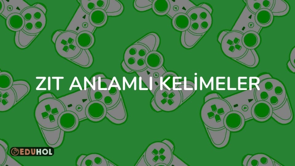 ZIT ANLAMLI KELİMELER