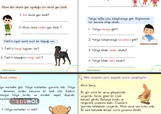 Okuduğunu anlama (5N 1K)