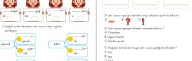 2. sınıf satır sonuna sığmayan kelimeler değerlene etkinliği