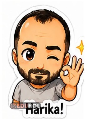 3.sınıf hayat bilgisi yön bulma yöntemleri stayt