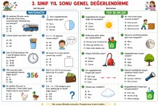 3 sınıf matematik ve fen bilimleri Mini değerlendirme
