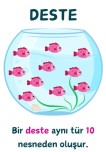 deste-düzine