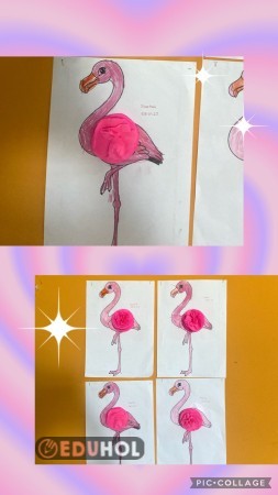 Pembe flamingolarımız ????