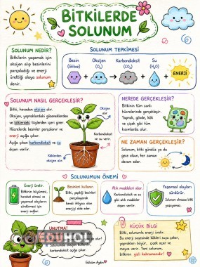 BİTKİLERDE SOLUNUM