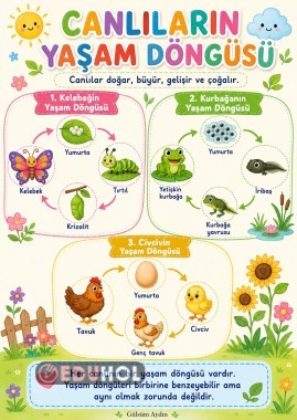 CANLILARIN YAŞAM DÖNGÜSÜ (poster)