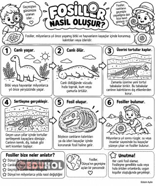 Fosiller Nasıl Oluşur?Defter Notu