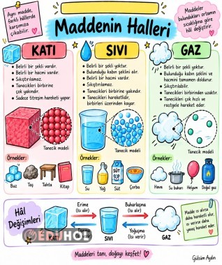 MADDENİN HALLERİ