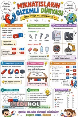 MIKNATISLARIN GİZEMLİ DÜNYASI POSTER (56x84cm)