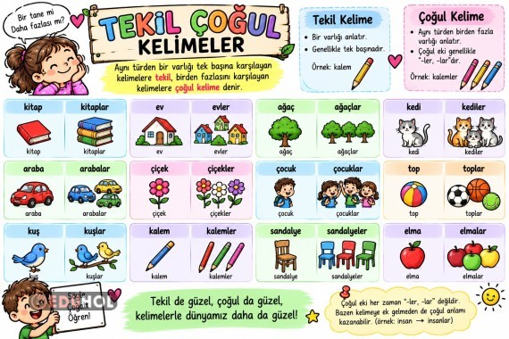 TEKİL-ÇOĞUL KELİMELER