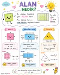 ALAN NEDİR?