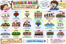 TOPLULUK ADLARI