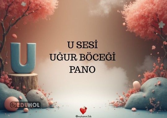 U SESİ UĞUR BÖCEĞİ PANO