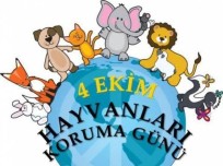 hayvan dostlarımızdan mektup