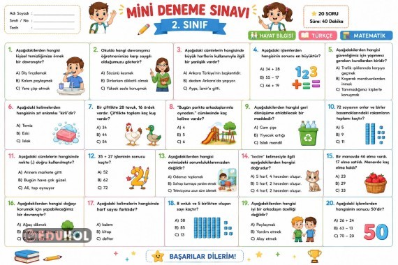 Mini Deneme Sınavı
