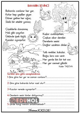 BAHAR SEVİNCİ-Şiir-Okuma-Anlama