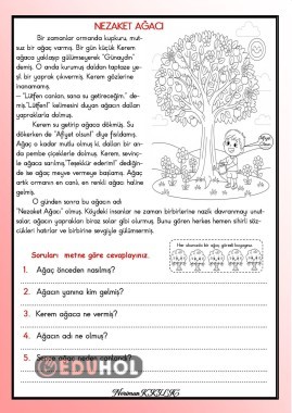 NEZAKET AĞACI-Okuma-Anlama