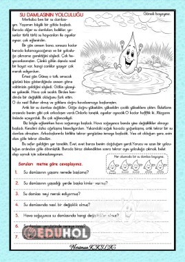SU DAMLASININ YOLCULUĞU-Okuma-Anlama