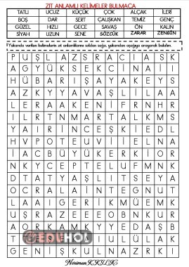 ZIT ANLAMLI KELİMELER-Bulmaca (Cevap Anahtarlı)