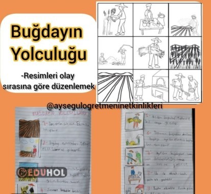 3.sınıf Türkçe Buğdayın Yolculuğu
