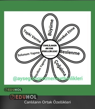 3.Snf Fen B. Canlıların Ortak Özellikleri