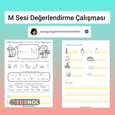 M Sesi Değerlendirme Çalışması