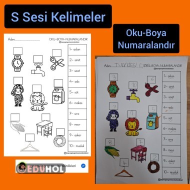 S Sesi Kelimeler Oku -Boya-Numaralandir